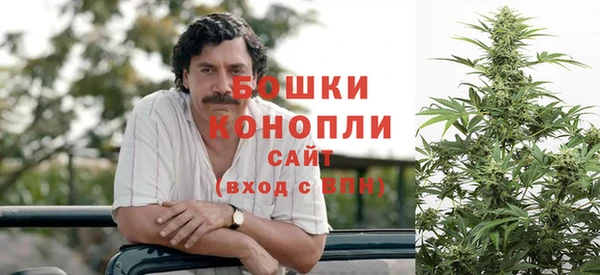 прущая мука Нея