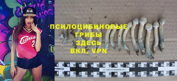 дистиллят марихуана Новозыбков