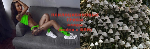 спиды Струнино