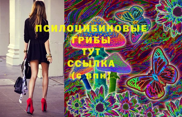 ALPHA PVP Нефтекумск