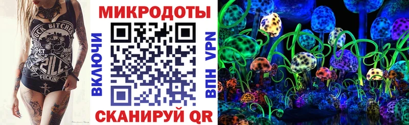 Псилоцибиновые грибы Psilocybe  Азнакаево 