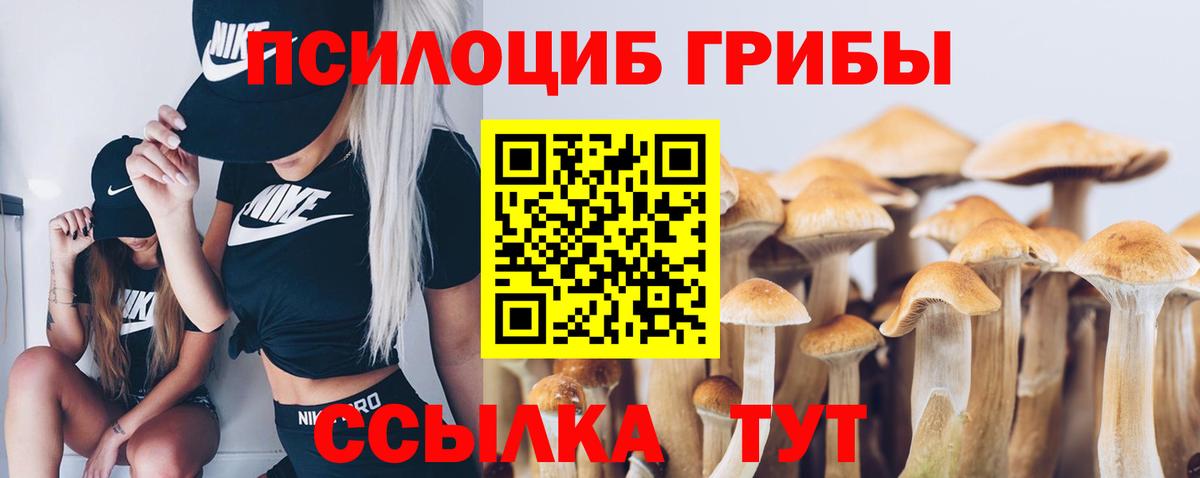 Галлюциногенные грибы мицелий  Вход с VPN  Азнакаево 