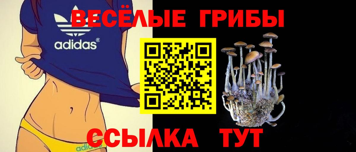 Галлюциногенные грибы Psilocybe Азнакаево